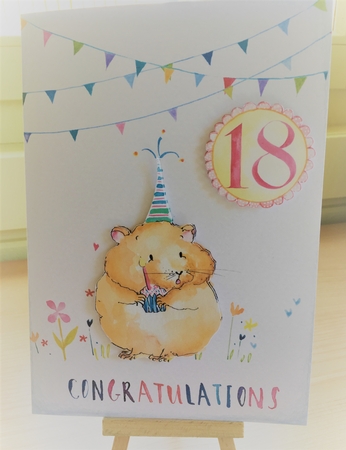18th Birthday by Louise Burke