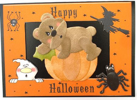 Cute Wooly Bear on Pumpkin in Halloween Frame by Louise Burke