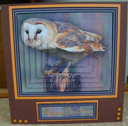 Barn Owl Pyramid by Louise Finlayson