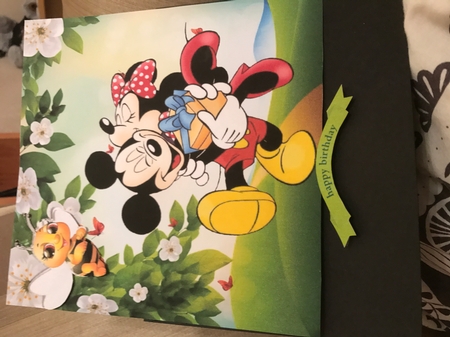 Happy Birthday to my special girl Minnie 8x8 by Louise Parr