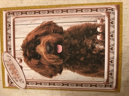 JJ LOVE MY DOG LABRADOODLE 2 5X7 by Louise Parr