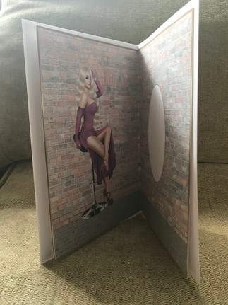 Its Showtime Blank Insert 5  by Louise Parr