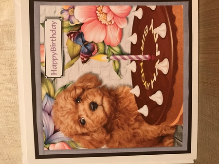 Birthday dog, cake and flowers by Louise Parr