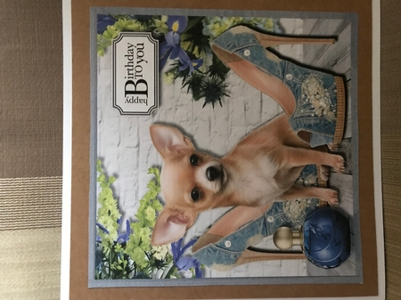 Puppy and denim by Louise Parr