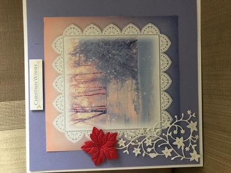 Sunshine Snow and Lace 2 by Louise Parr