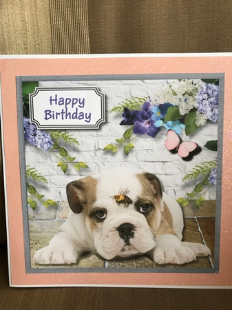 Bulldog and bee birthday or get well soon by Louise Parr