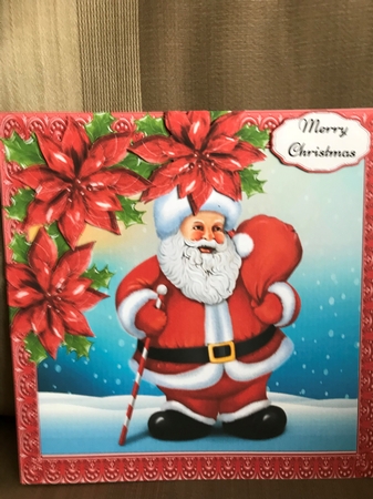 Gorgeous Santa With Red Poinsettias 8x8 by Louise Parr