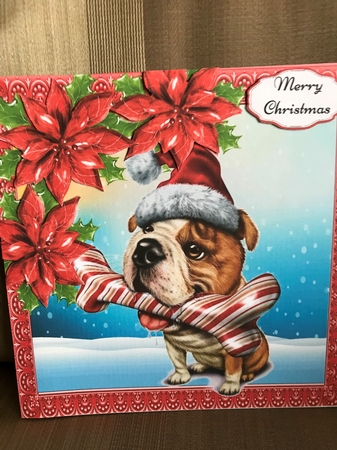 Gorgeous Christmas Dog And Bone With Red Poinsettias 8x8 by Louise Parr