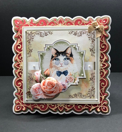 Winston the cat 7x7 by Louise Patten