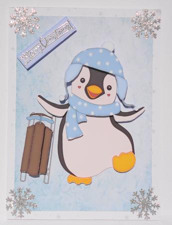 Cute Christmas Penguin & His Sledge by Lyn Ainscough-Ambrose