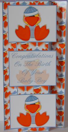 Cute Little Duck Baby Boy 3 Panel Fold Back by Lyn Hughes