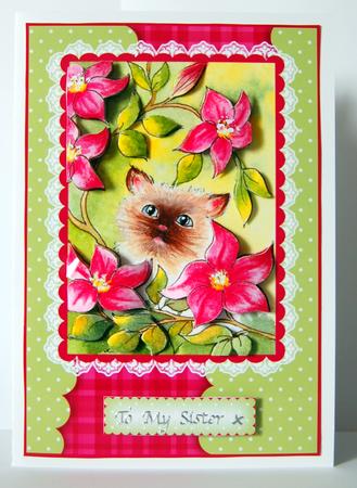 Kitten Through the Clematis Card Front and Decoupage by Lyn Hughes