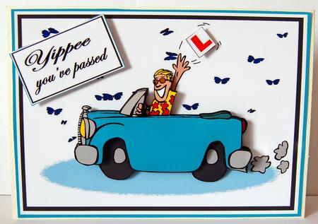 Driving Test (male) by Lyn Hughes