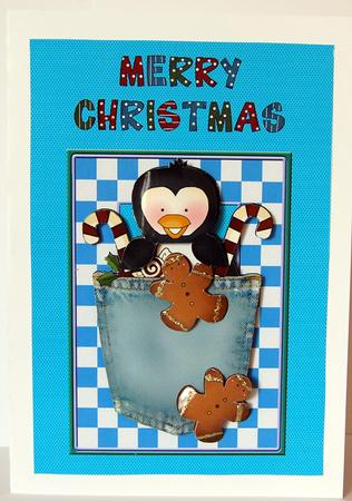Penquin in My Pocket by Lyn Hughes