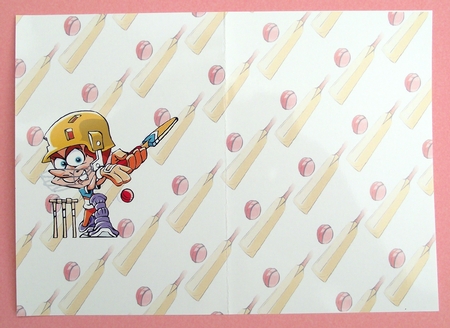 Let's Play Cricket Blank Insert by Lynda Harman