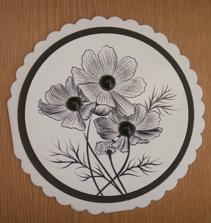 Cosmos Floral Digital Stamp / Colouring by Lynda Harman