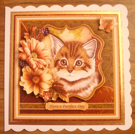 KITTEN & FLORAL 7.5 Decoupage & Insert Mini Kit All Occasions by Lynda Harman