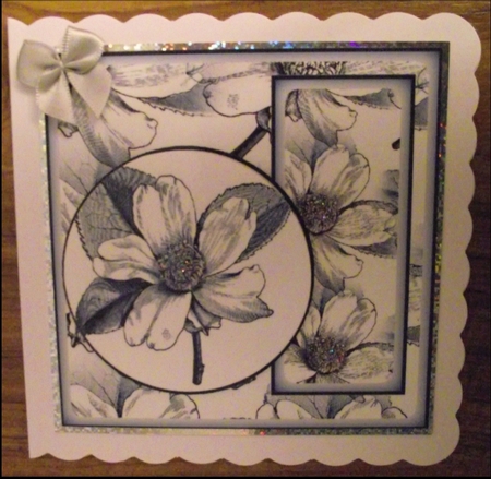 floral colours 7 by Lynda Harman