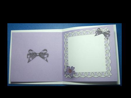 Pretty Viola Matching Insert Square Portrait by Lynda Harman