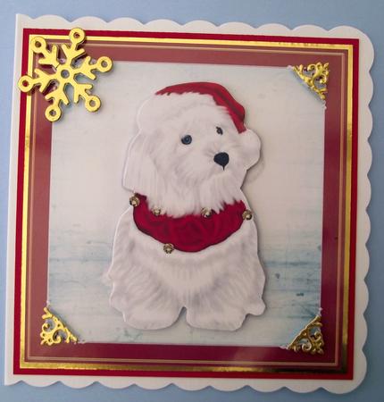 Believe in Santa Paws by Lynda Harman