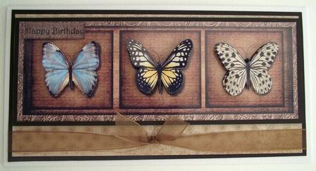 Large Dl Male Card Vintage Butterflies by Lynda Harman