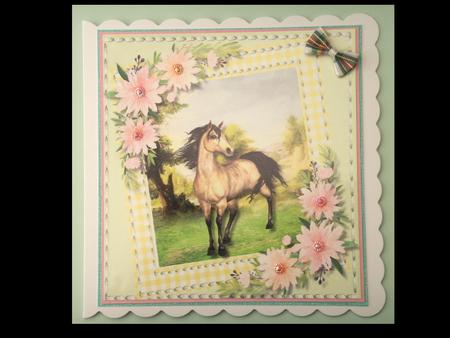 Beautiful Horse in a Gingham Frame  by Lynda Harman