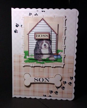 Shichon Puppy Dog House by Lynda Tully