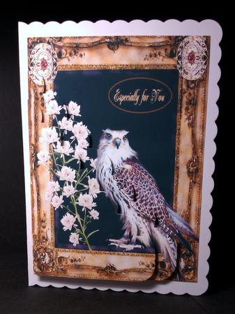 Gold Frame Bird by Lynda Tully