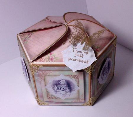 Just Purrfect Large Hexagonal Gift Box Mini Kit by Lynda Tully