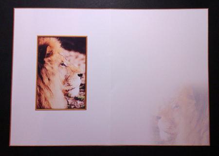 Proud Lion Blank Insert by Lynda Tully