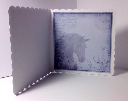 Midnight Horse Blank Insert by Lynda Tully