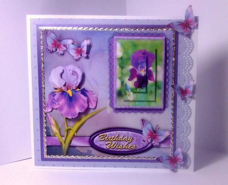 For the Love of Iris by Lynda Tully