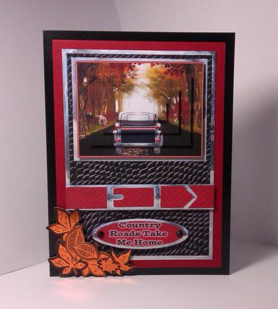 Country Roads Take Me Home -  by Lynda Tully