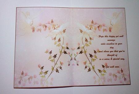Get Well Soon Insert by Lynda Tully