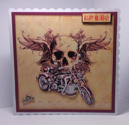 Born to Be Wild by Lynda Tully