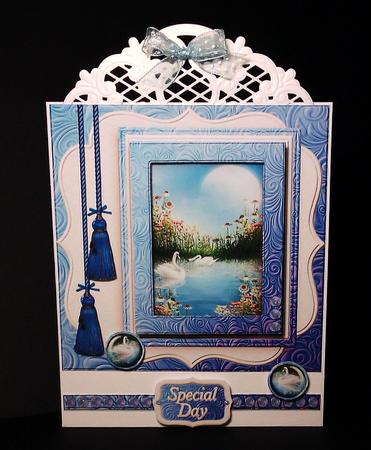 Swan Lake Beauty by Lynda Tully
