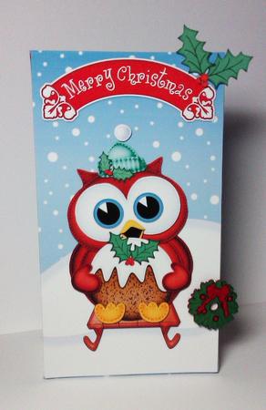 3D Xmas Sledging Owl Gift Box Mini Kit by Lynda Tully