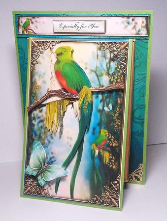3 in 1 the Woodland Perch by Lynda Tully