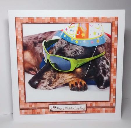 Party Animal by Lynda Tully