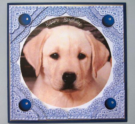 Labrador Puppy Dog -step by Step Lace Frame Corner Stacker by Lynda Jones