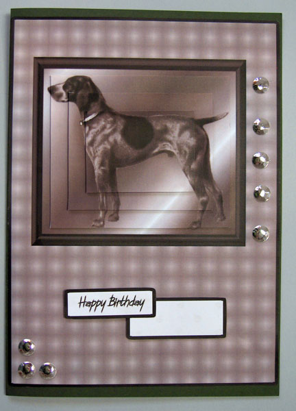 The Pointer by Lynda Jones
