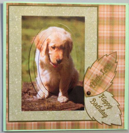 Golden Retriever Puppy by Lynda Jones