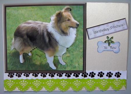 Shetland Sheepdog 3D Decoupage by Lynda Jones