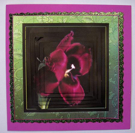 Frilly Tulip 'electric' Pyramid by Lynda Jones