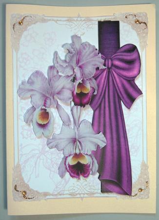 Perfect Orchid by Lynda Jones