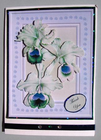 Orchids for My Mum May Happiness Be Yours on This Special Day Thank You with Sympathy Happy Birthday in Smaller Sized Cards in Green by Lynda Jones