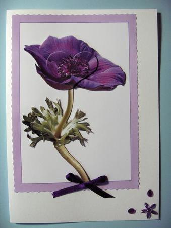 Purple Anemone Card Front, Layering & Topper. by Lynda Jones