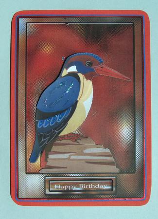 Birds for the Boys by Lynda Jones