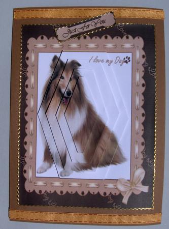 I Love My Dog by Lynda Jones
