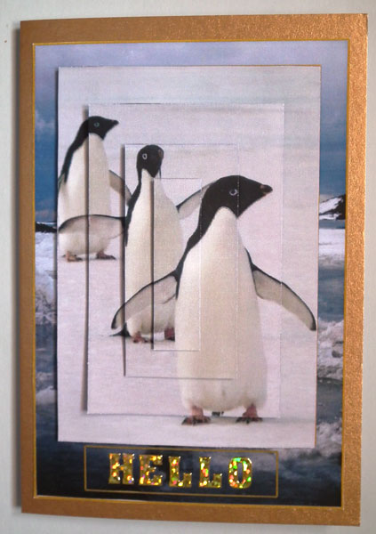 Penguins in the Antarctic by Lynda Jones